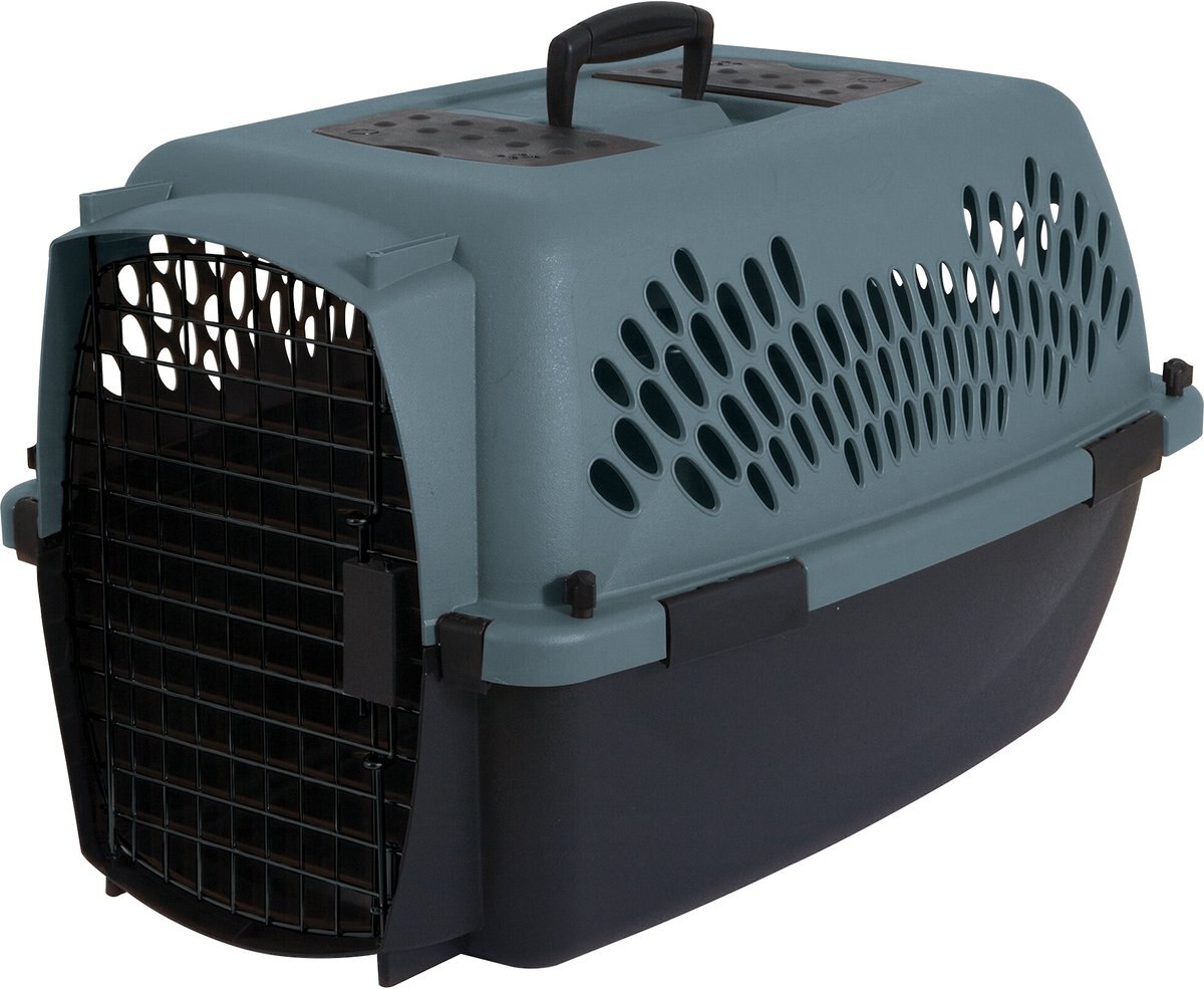 ASPEN PET Fashion Dog & Cat Kennel, Storm Gray/Black, 24in