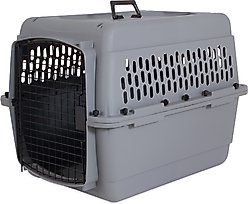 Aspen Pet Traditional Dog & Cat Carrier, Light Gray, 28-in
