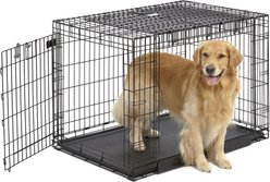 MidWest Ovation Trainer Double Door Collapsible Wire Dog Crate, Black, 43 inch