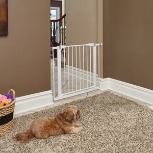 Out of Stock - MIDWEST Decorative Wood & Graphite Steel Dog & Cat Gate ...