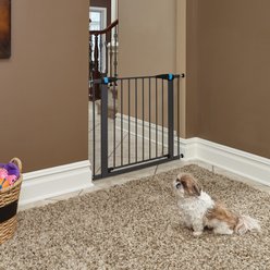 MidWest Glow in the Dark Dog & Cat Gate, Graphite, 29-in
