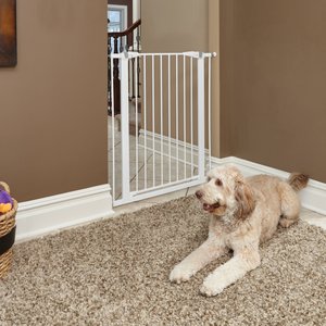 MIDWEST Glow in the Dark Dog & Cat Gate, White, 39-in - Chewy.com