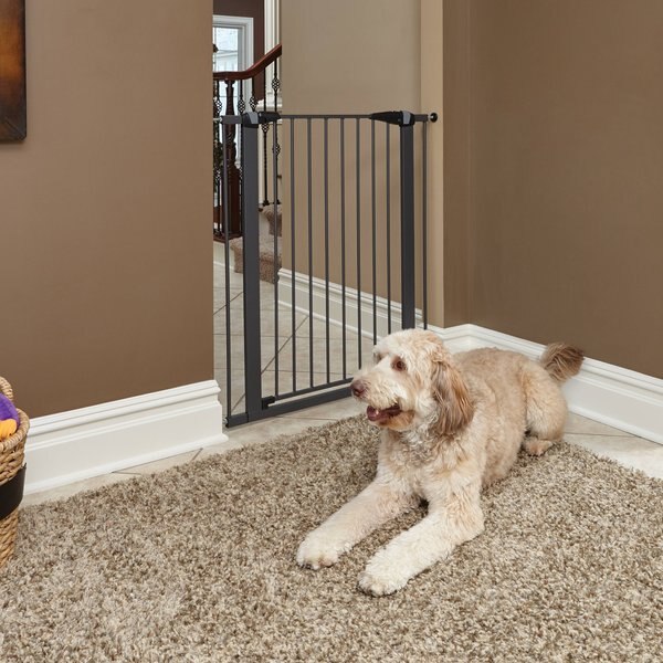 MIDWEST Glow in the Dark Dog & Cat Gate, Graphite, 39in