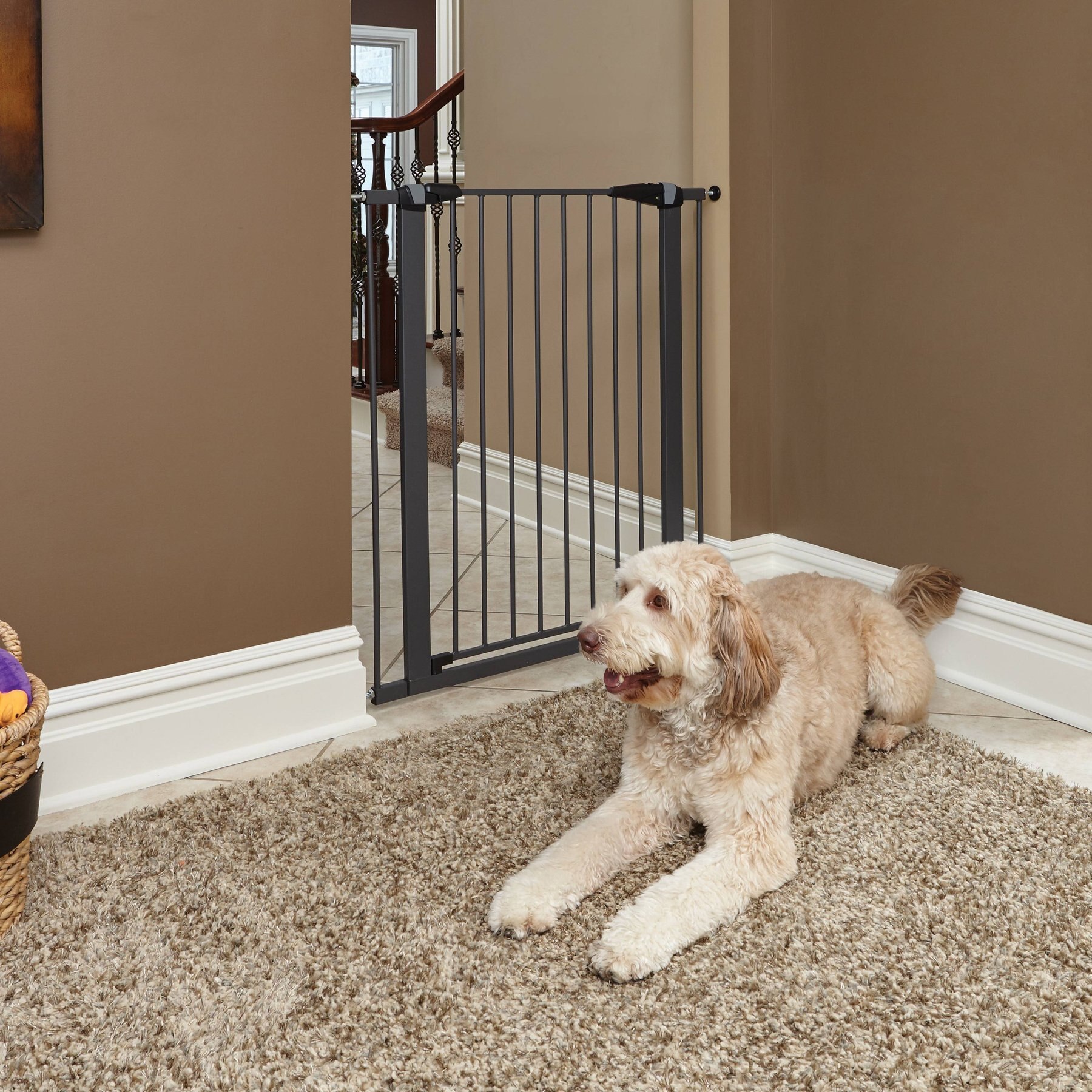 MIDWEST Glow in the Dark Dog & Cat Gate, Graphite, 39in