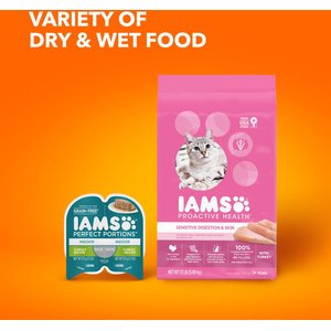 Iams Proactive Health Sensitive Digestion & Skin Turkey Dry Cat Food, 13-lb bag