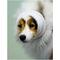 Show in main carousel: Happy Hoodie Calming Cap for Dogs, White, Large slide 1 of 11