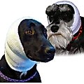 Happy Hoodie Calming Cap for Dogs, Small & Large, 2 count, White