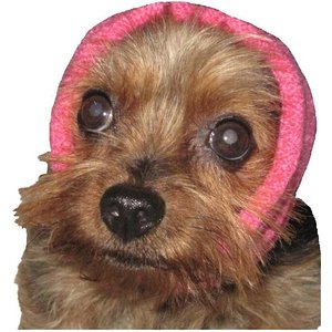 Happy Hoodie Calming Cap for Dogs, Pink, Small