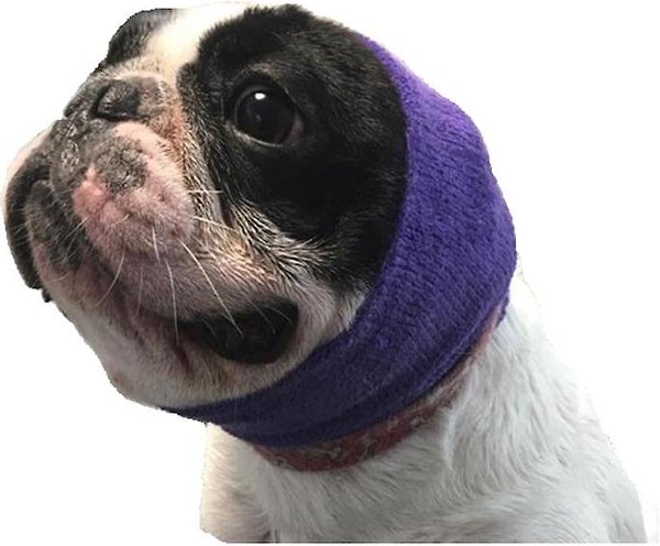 Happy Hoodie Calming Cap for Dogs, Purple, Small slide 1 of 5
