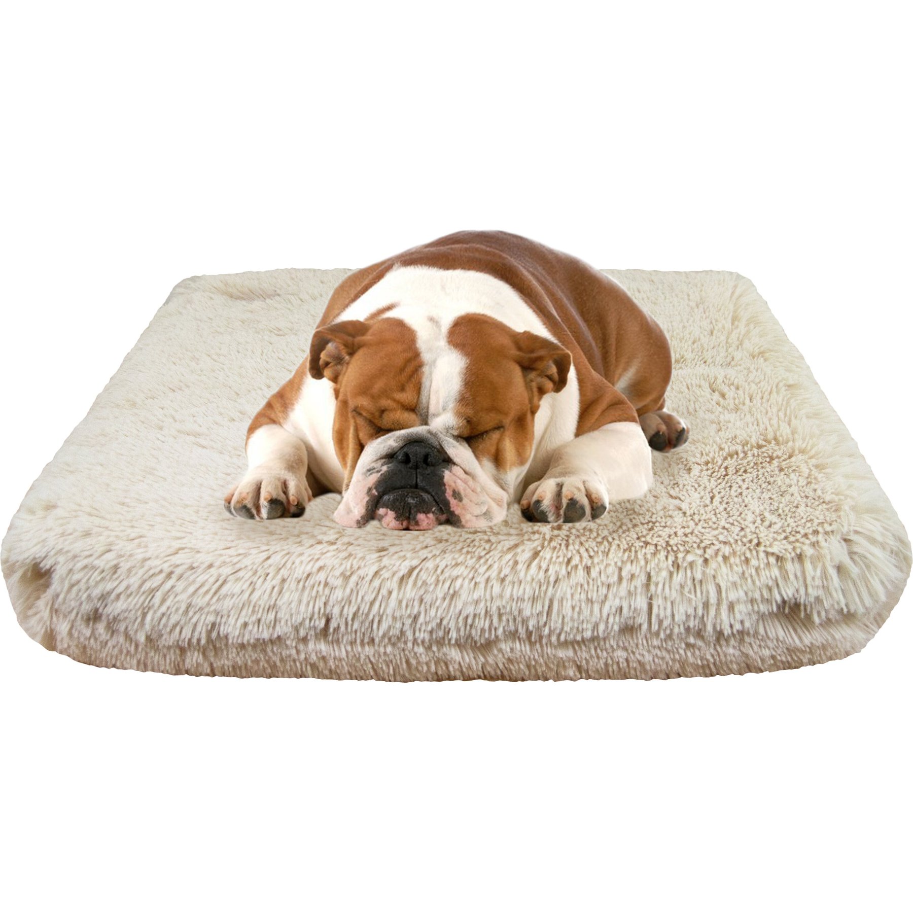 Bessie + Barnie Luxury Fun Print Pillow Cat & Dog Bed with Removable Cover, Dog Park, X-Large