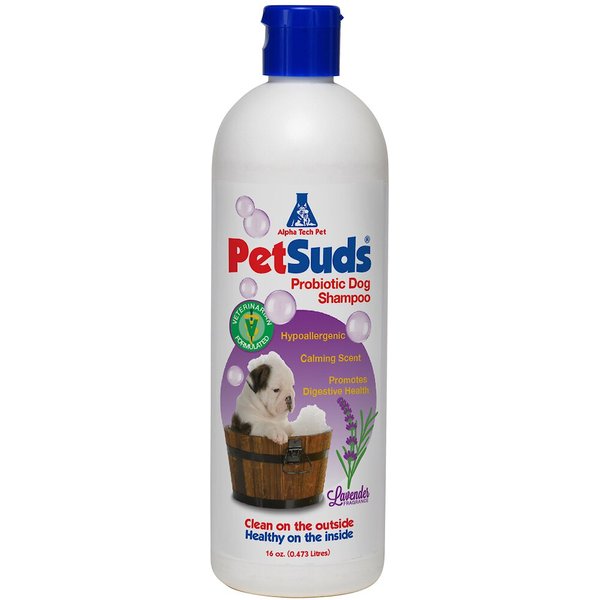 PETHONESTY Chlorhexidine Antibacterial Cleansing & Odor Remover Dog