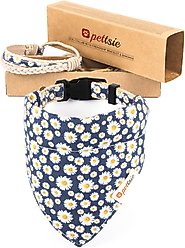 Pettsie Dog Collar Daisy & Bandana, Dark Blue, Medium