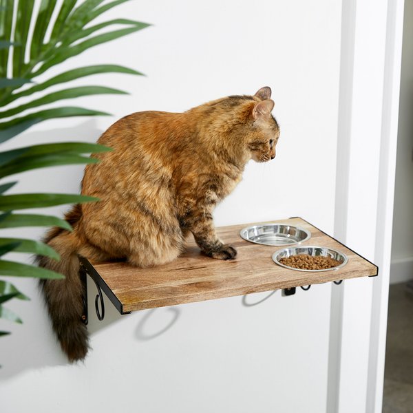 Frisco Wall Mounted Wooden Cat Feeding Station, Natural, 2 Cup slide 1 of 6