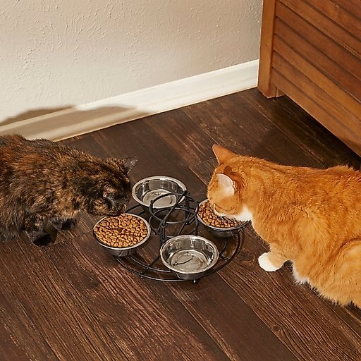 Frisco Multi Pet Feeding Station, X-Small: 0.5 cup, 1 count