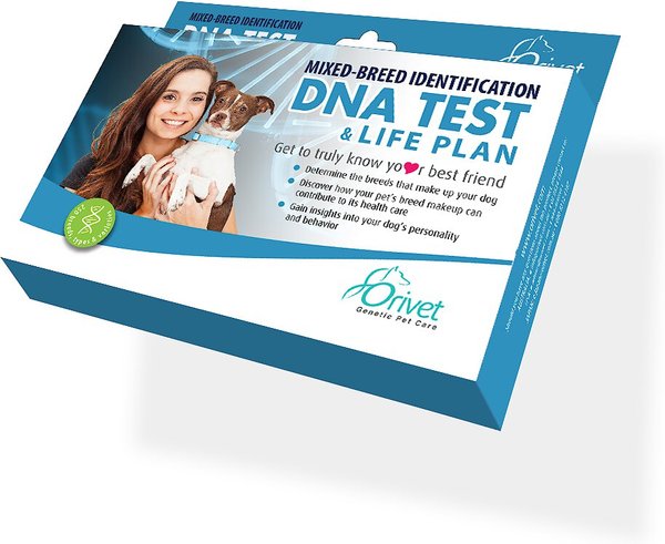 Orivet Geno Pet Dog DNA Breed Identification Test slide 1 of 6