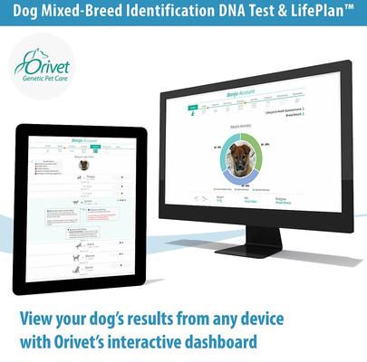 Show full view: Orivet Geno Pet Dog DNA Breed Identification Test slide 4 of 8