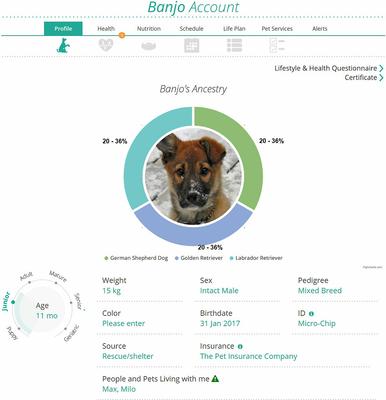 Show full view: Orivet Geno Pet Dog DNA Breed Identification Test slide 5 of 8