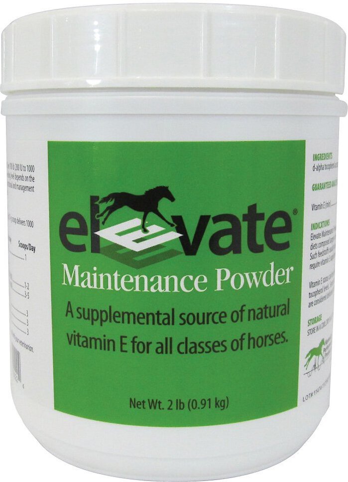 KENTUCKY PERFORMANCE PRODUCTS Elevate Maintenance Powder Vitamin E