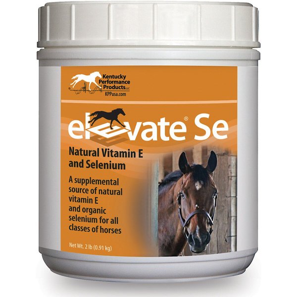KENTUCKY PERFORMANCE PRODUCTS Elevate Maintenance Powder Vitamin E