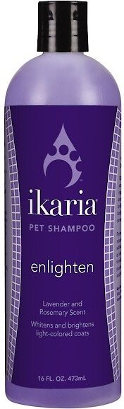 Ikaria Enlighten Lavendar & Rosemary Scent Dog & Cat Shampoo, 16-oz bottle slide 1 of 1