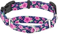 Frisco Patterned Polyester Martingale Dog Collar with Buckle, Small: 14 to 17-in neck, 3/4-in wide
