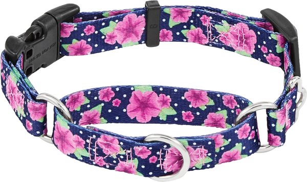 Frisco Patterned Polyester Martingale Dog Collar with Buckle, Small: 14 to 17-in neck, 3/4-in wide slide 1 of 7