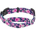 Frisco Patterned Polyester Martingale Dog Collar with Buckle, Small: 14 to 17-in neck, 3/4-in wide