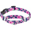 Frisco Patterned Polyester Martingale Dog Collar with Buckle, Medium: 17 to 20-in neck, 1-in wide