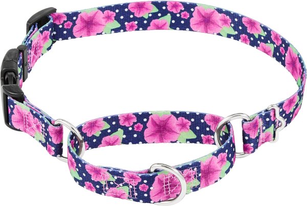 Frisco Patterned Polyester Martingale Dog Collar with Buckle, Large: 20 to 25-in neck, 1-in wide slide 1 of 7
