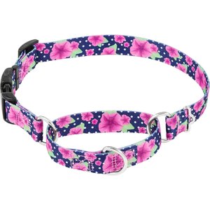 Frisco Patterned Polyester Martingale Dog Collar with Buckle, Large: 20 to 25-in neck, 1-in wide