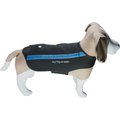 : NFL Pittsburgh Steelers Dog Anxiety Shirt Calming Soothing  Solution Vest for Dogs/Cats with Anxiety, Fears, Fireworks, Loud Noises,  Dark, Lonely Keeps Dogs Calm Feeling Safe, Relaxing Jacket, Medium : Pet