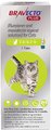 Bravecto Plus Topical Solution for Cats, 2.6-6.2 lbs, (Green Box), 1 Dose (2-mos. supply)
