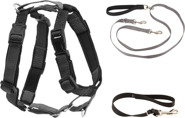 PetSafe 3-in-1 Reflective Dog Harness & Leash, Small: 19 to 24-in chest slide 1 of 9