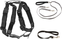 PetSafe 3-in-1 Reflective Dog Harness & Leash