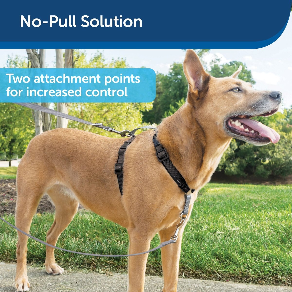 PetSafe 3-in-1 Reflective Dog Harness & Leash