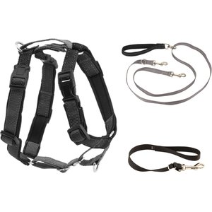 PetSafe 3-in-1 Reflective Dog Harness & Leash, Large: 29.5 to 42.5-in chest