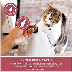Greenies Feline SmartBites Healthy Skin & Fur Natural Chicken Flavor Soft & Crunchy Adult Cat Treats, 4.6-oz bag