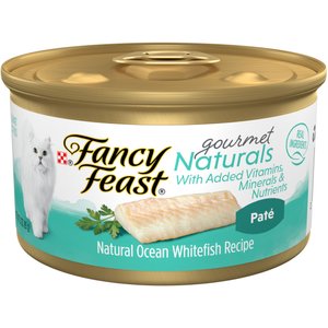 chewy fancy feast kitten food