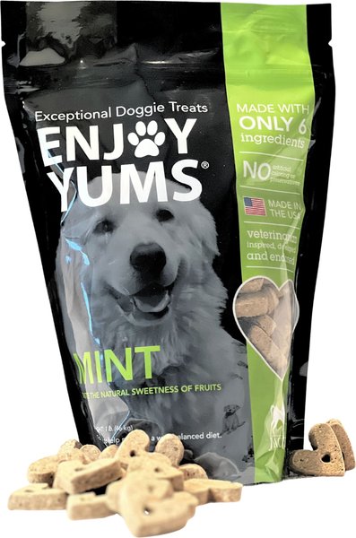 Enjoy Yums Mint Flavor Dog Treats, 1-lb bag slide 1 of 3