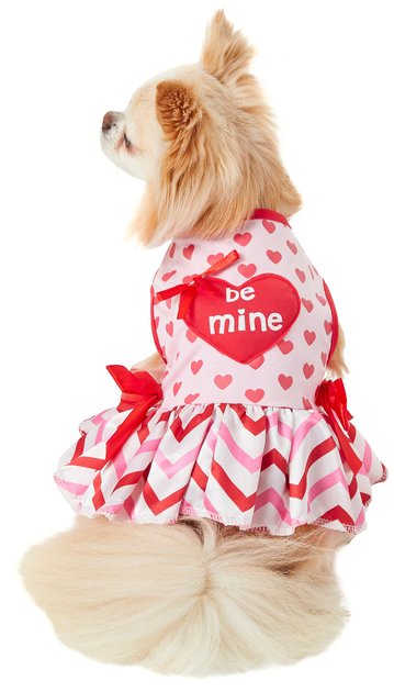 valentines day dog dress