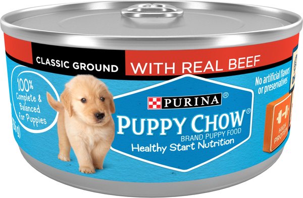 Puppy Chow Classic Ground Beef Pate Wet Puppy Food, 5.5-oz can, case of 24 slide 1 of 10