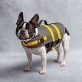 US ARMY Dog Life Vest, Dark Camo, Medium