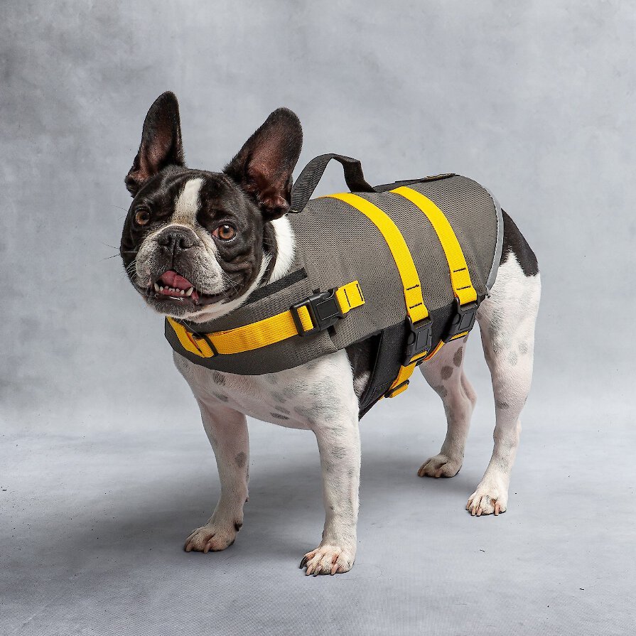 Chewy dog life sales vest