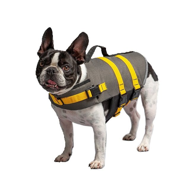 US ARMY Dog Life Vest, Dark Camo, X-Large - Chewy.com