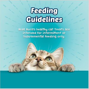 Blue Buffalo Bursts with Savory Seafood Cat Treats, 12-oz tub