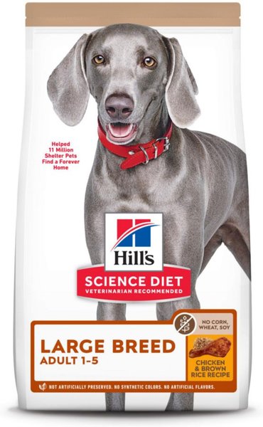 science diet large breed dog