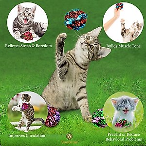 SunGrow Kitty Crinkle Balls Indoor Cat Toy, 12 count