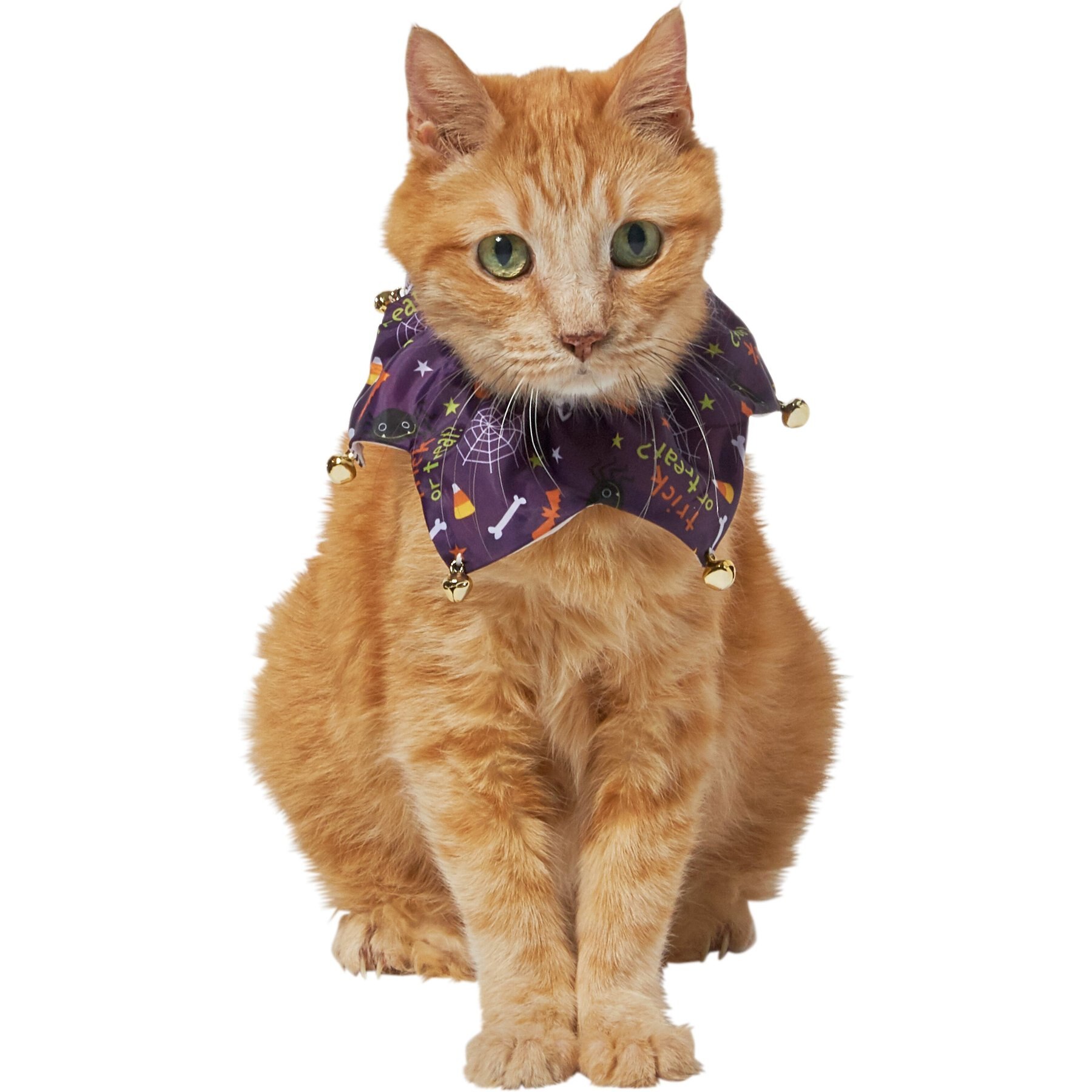 FRISCO Halloween Cat Ruffle Collar with Bells, Purple, One Size