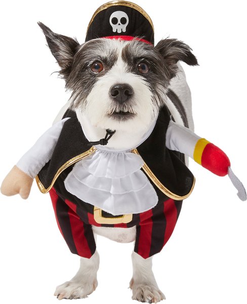 Frisco Front Walking Pirate Dog & Cat Costume, Medium slide 1 of 7