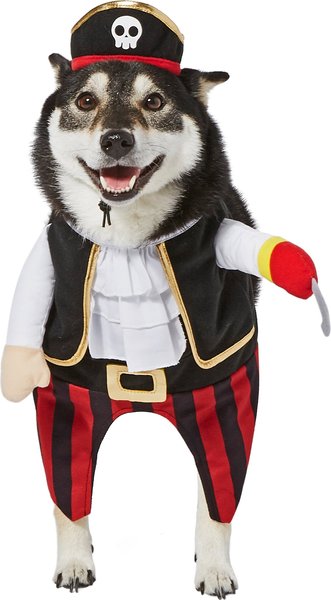 Frisco Front Walking Pirate Dog & Cat Costume, Large slide 1 of 7